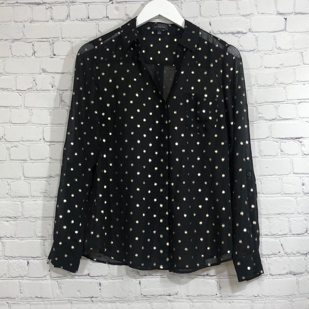 The limited button down